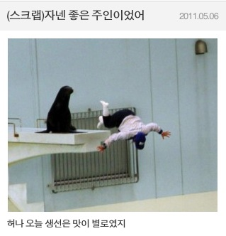 은인 이미지