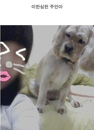 쓰담 이미지
