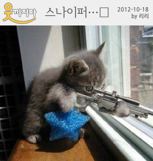 스나이퍼…?