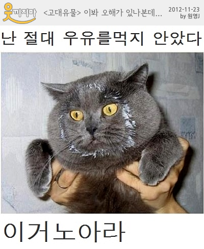 이봐 오해가 있나본데...