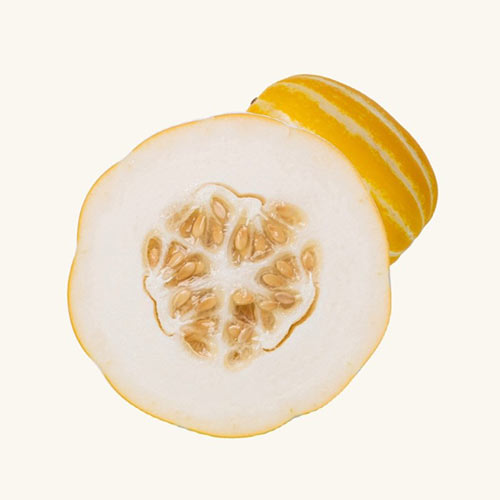 경북 성주 꿀 참외 1kg / 2kg / 3kg (택1)